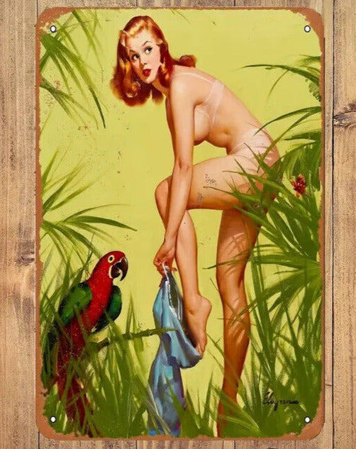 Funny Skinny Dipping Model Vintage Novelty Metal Sign 12" x 8" Wall Art Home & Garden:Home Décor:Plaques & Signs Cozy Home Treasures